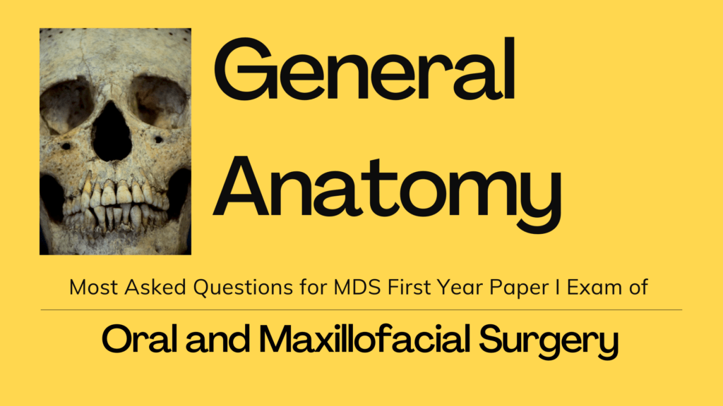 Most Asked Questions of General Anatomy for MDS First Year Exams of OMFS